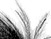 Again - black & white version - a Gravitation image by bakayaro onna