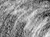 Again - black & white version - a Gravitation image by bakayaro onna