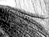 Again - black & white version - a Gravitation image by bakayaro onna