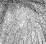 Portraits - black & white version - a Gravitation image by bakayaro onna