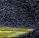 Candlelight at Midnight, coloured version - a Gravitation image by bakayaro onna