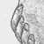 Maitai - an A/U Gravitation/Liquid Rodent image by bakayaro onna