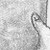 Maitai - an A/U Gravitation/Liquid Rodent image by bakayaro onna