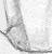 Maitai - an A/U Gravitation/Liquid Rodent image by bakayaro onna
