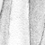 Maitai - an A/U Gravitation/Liquid Rodent image by bakayaro onna