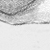 Maitai - an A/U Gravitation/Liquid Rodent image by bakayaro onna