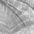 Maitai - an A/U Gravitation/Liquid Rodent image by bakayaro onna