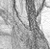Maitai - an A/U Gravitation/Liquid Rodent image by bakayaro onna