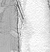 Maitai - an A/U Gravitation/Liquid Rodent image by bakayaro onna