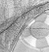 Maitai - an A/U Gravitation/Liquid Rodent image by bakayaro onna