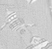Maitai - an A/U Gravitation/Liquid Rodent image by bakayaro onna
