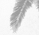 Maitai - an A/U Gravitation/Liquid Rodent image by bakayaro onna