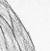 Maitai - an A/U Gravitation/Liquid Rodent image by bakayaro onna