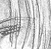 Maitai - an A/U Gravitation/Liquid Rodent image by bakayaro onna