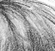 A Nap on a Lap - an A/U Gravitation/Liquid Rodent image by bakayaro onna