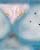 Kitten gift for Lia