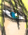 a sexy Zechs from Gundam Wing